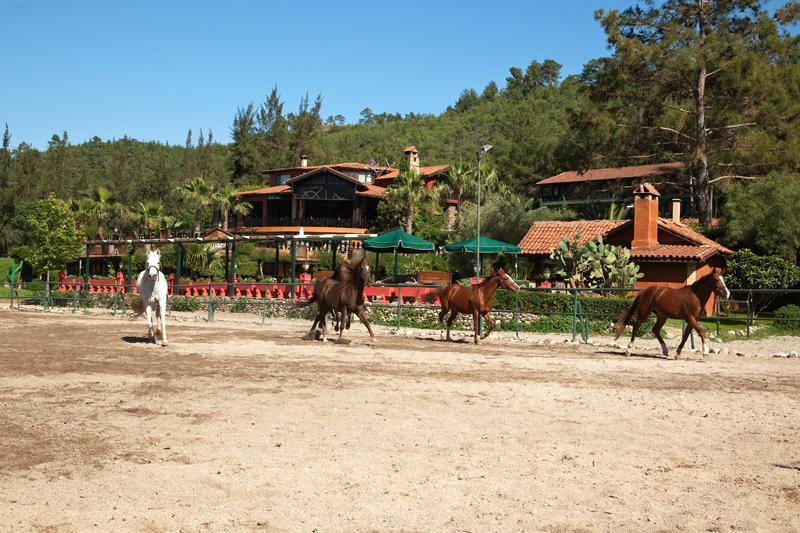 Hotel Berke Ranch&Nature Кемер Экстерьер фото